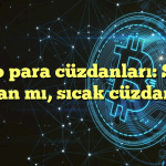 Kripto para cüzdanları: Soğuk cüzdan mı, sıcak cüzdan mı?